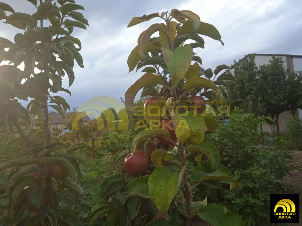 Продажа дома, Фонталовская, Темрюкский район, ул. Давыдова - Фото 15