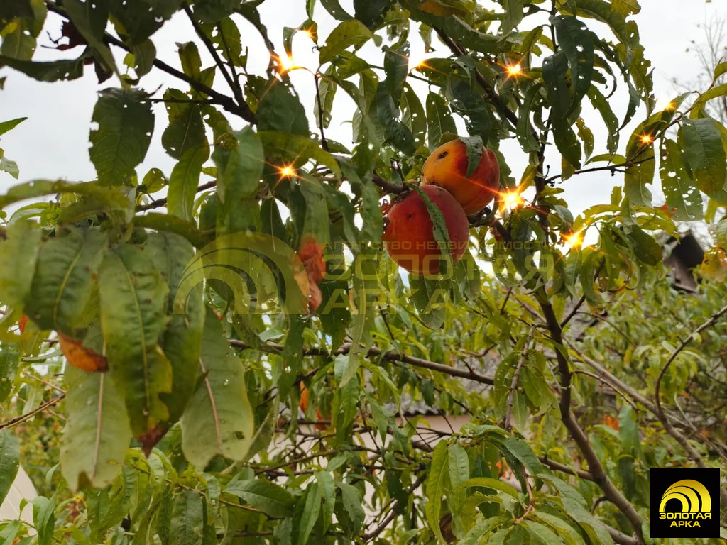 Продажа дома, Федоровская, Абинский район, ул. Первомайская - Фото 18