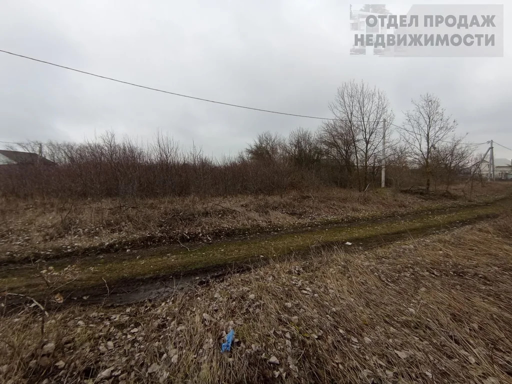 Участок - Фото 4