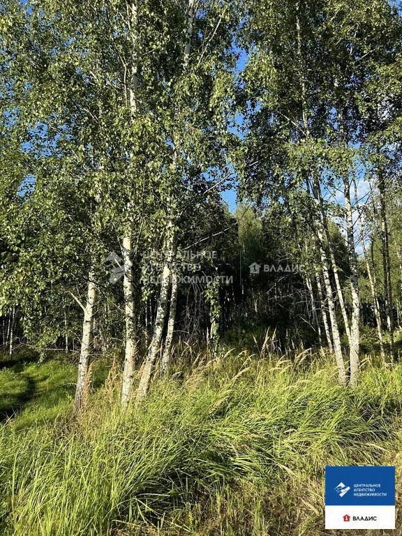 Продажа участка, Дубровичи, Рязанский район - Фото 12