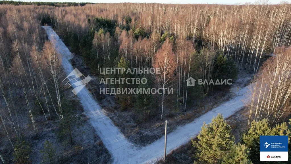 Продажа участка, Ярустово, Спасский район, ул. Лесная - Фото 7