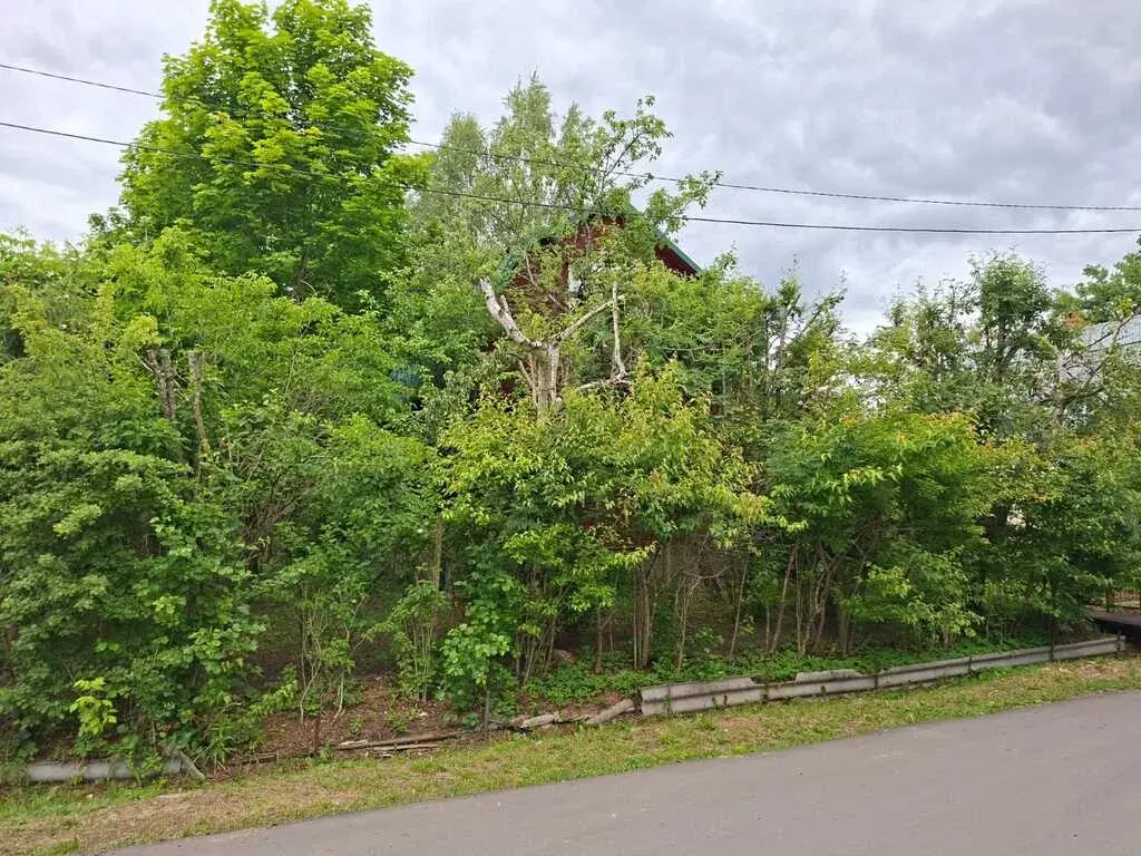 Продается дом в СНТ Ополье, Рузский район Московсмкая обл. - Фото 22