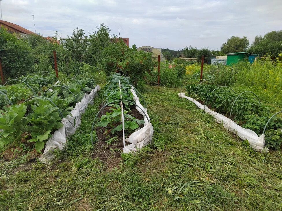 Продажа дома, Сосновка, Новосибирский район, ул. Северная - Фото 4