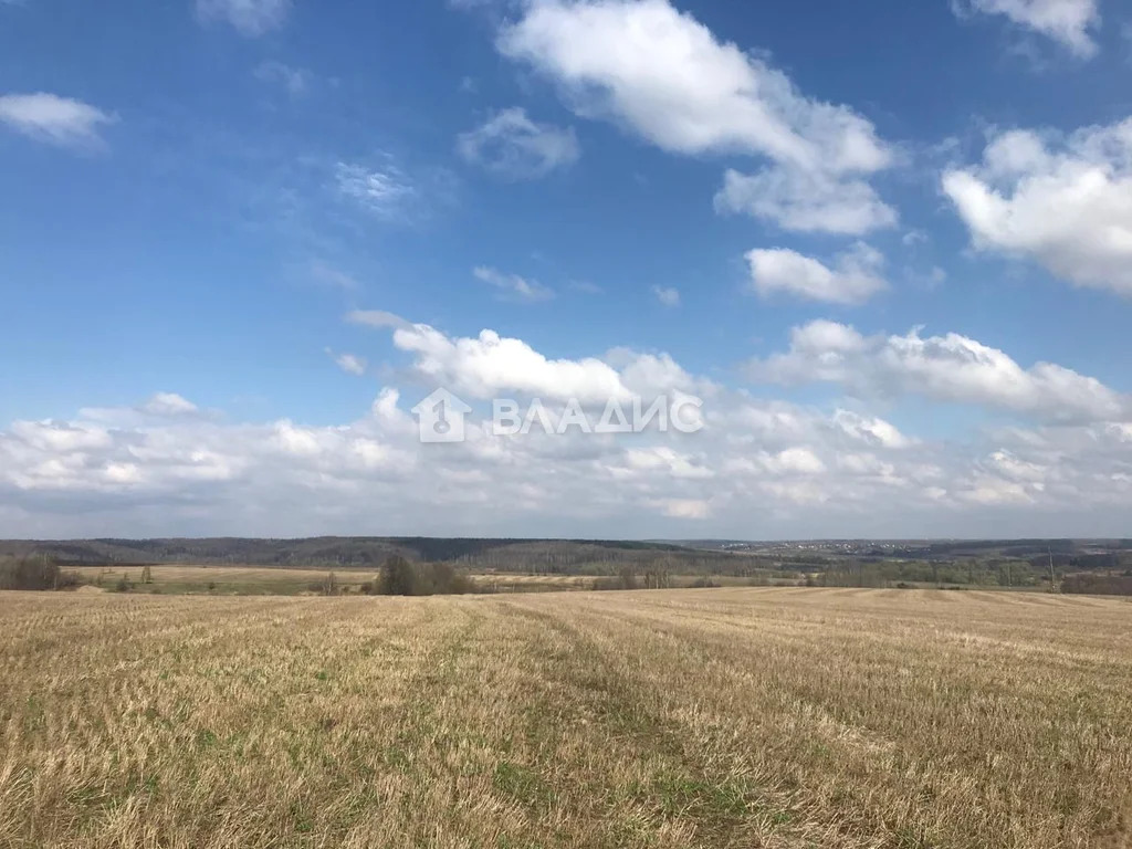 Суздальский район, село Сновицы, улица Гагарина,  земля на продажу - Фото 4