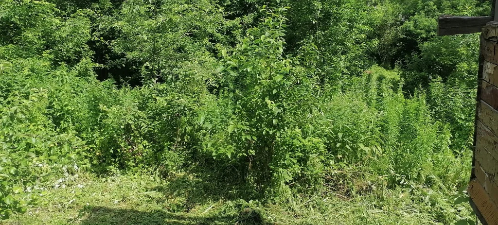 Продажа участка, Таргайский дом отдыха, Новокузнецкий район, ул. ... - Фото 15