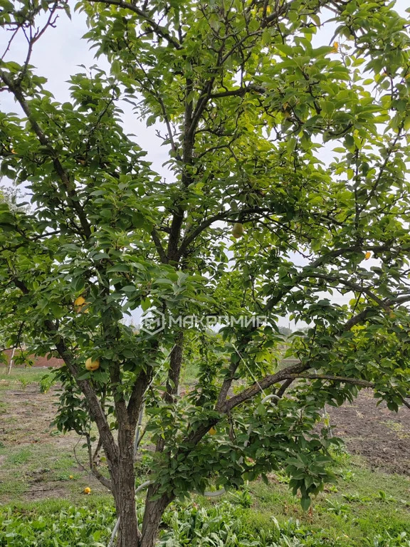 Продажа дома, Красноармейский район - Фото 1