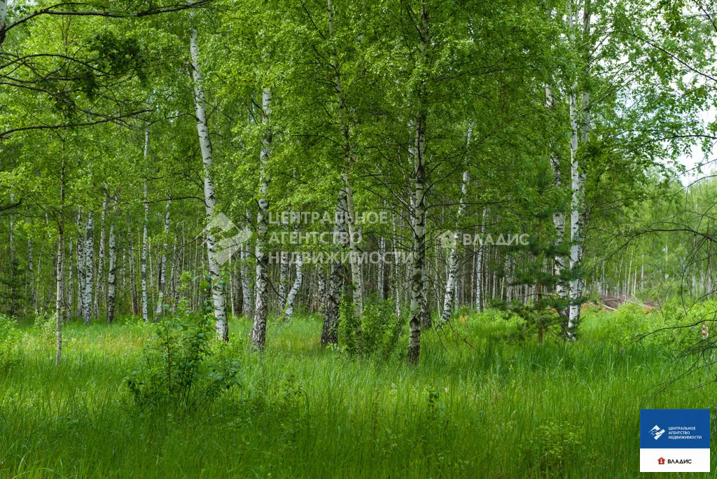 Продажа участка, Рязанский район - Фото 5