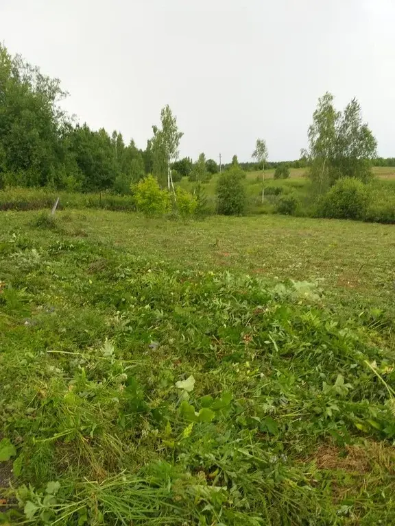 Участок в деревне, в тихом месте - Фото 0