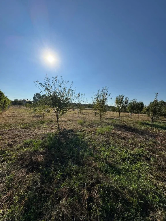 Продажа дома, Оазис, Северский район, ул. Центральная - Фото 1