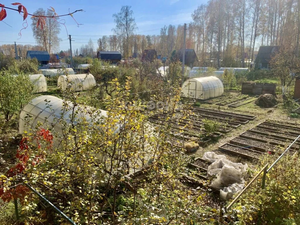 Продажа дома, Новосибирск, снт Колос - Фото 10