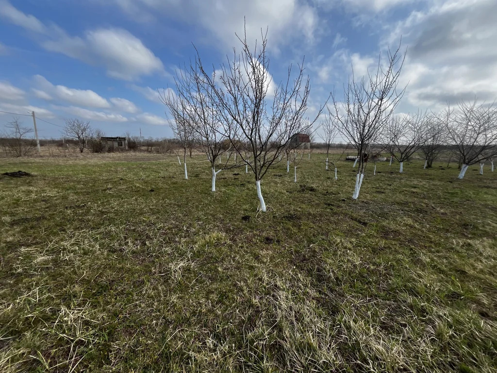 Продажа участка, Северский район - Фото 5