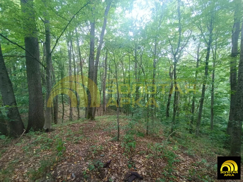 Продажа участка, Чибий, Северский район - Фото 18