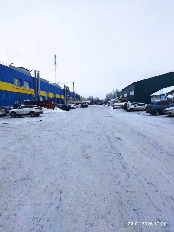 Аренда производственно складского помещения 1648.8 м2 от собственника - Фото 5