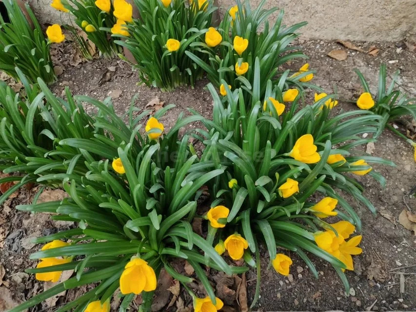 Продажа участка, Севастополь, территория СТ Сапун-гора - Фото 8