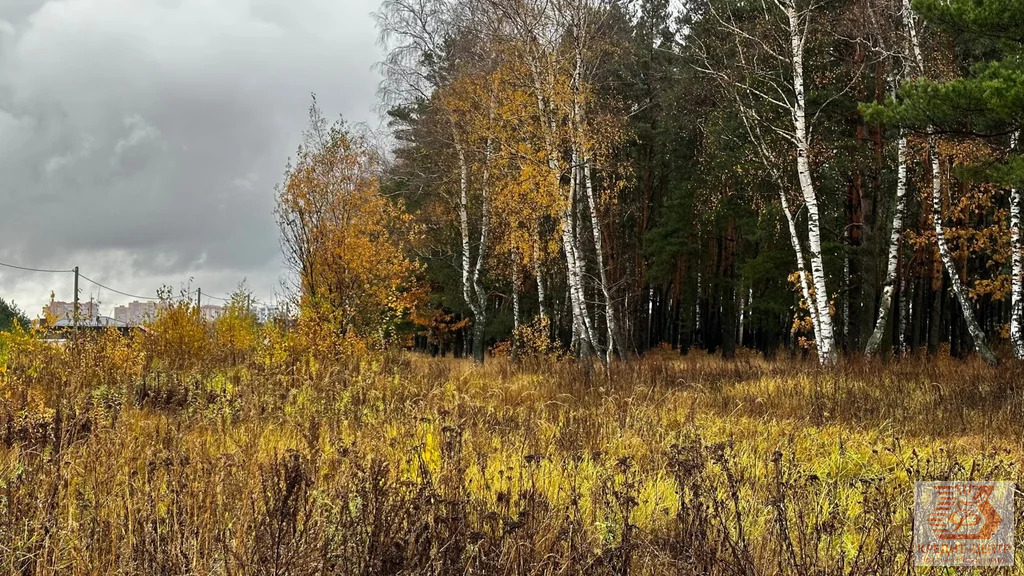 Продажа участка, Раменское, Раменский район, ул 2-я Серебряная - Фото 5