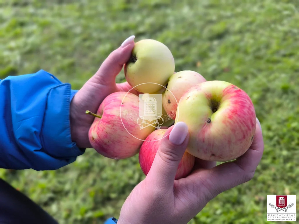 Продажа дома, Заречье, Боровский район, садоводческое некоммерческое ... - Фото 0