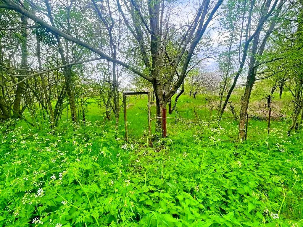 Купить Участок Варениковская Краснодарский Край
