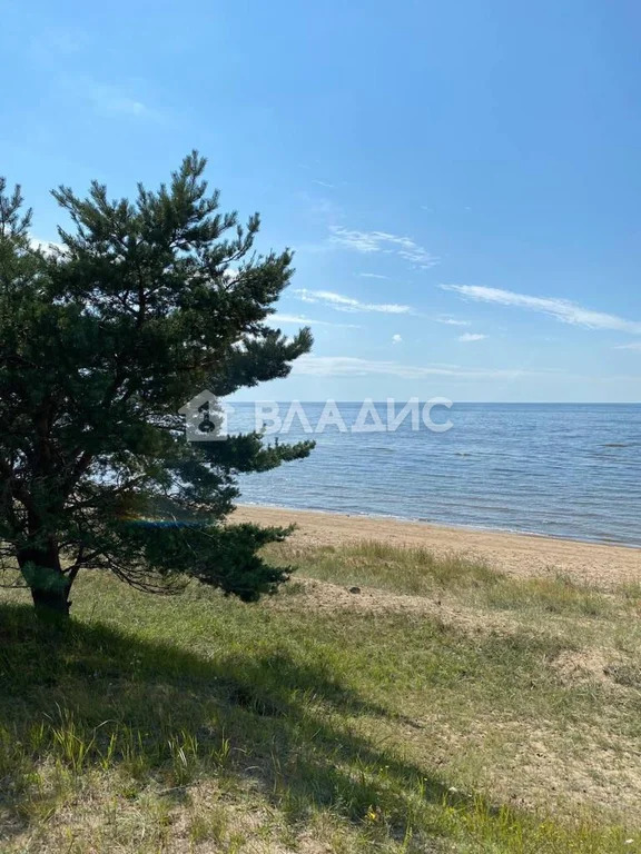 Гдовский район, деревня Сторожинец,  земля на продажу - Фото 9