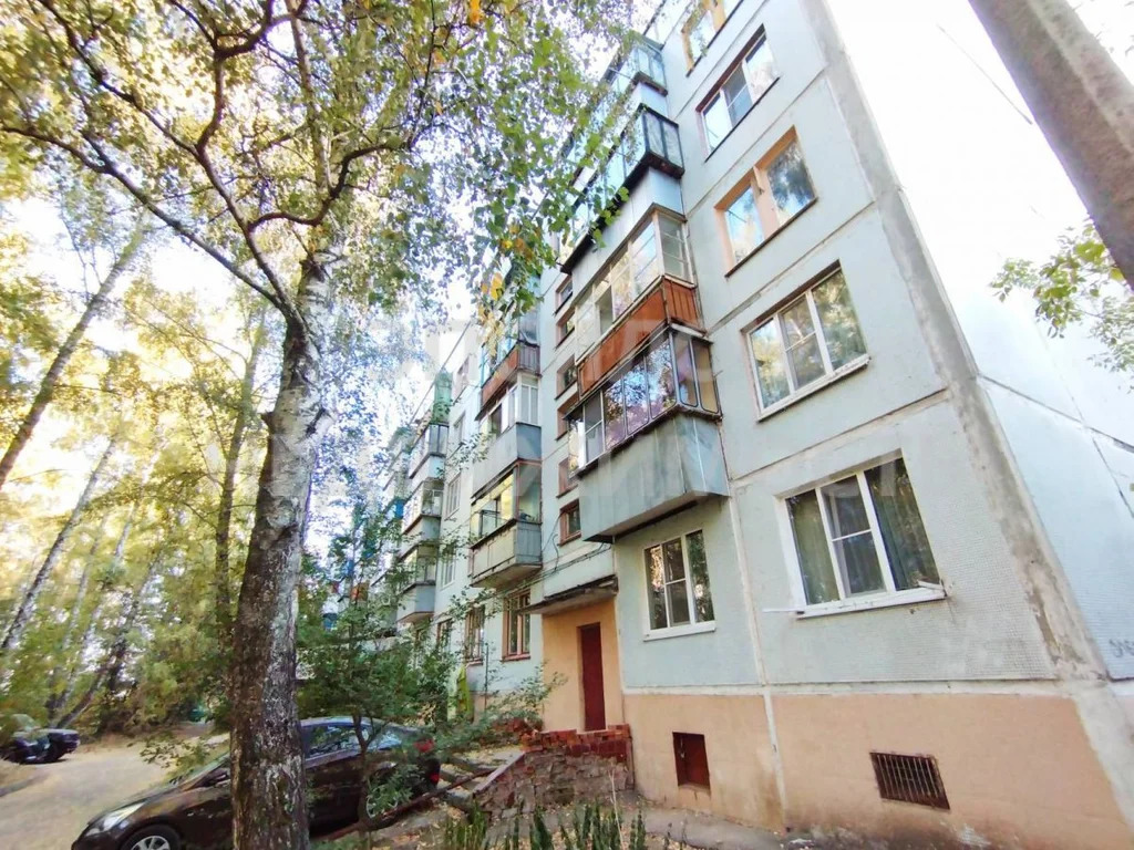 1-к. квартира, 31,4 м, 1/5 эт. - Фото 1