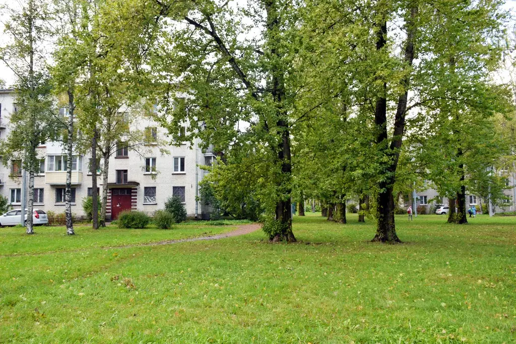 Уютная двушка в зелёном малоэтажном районе - Фото 18
