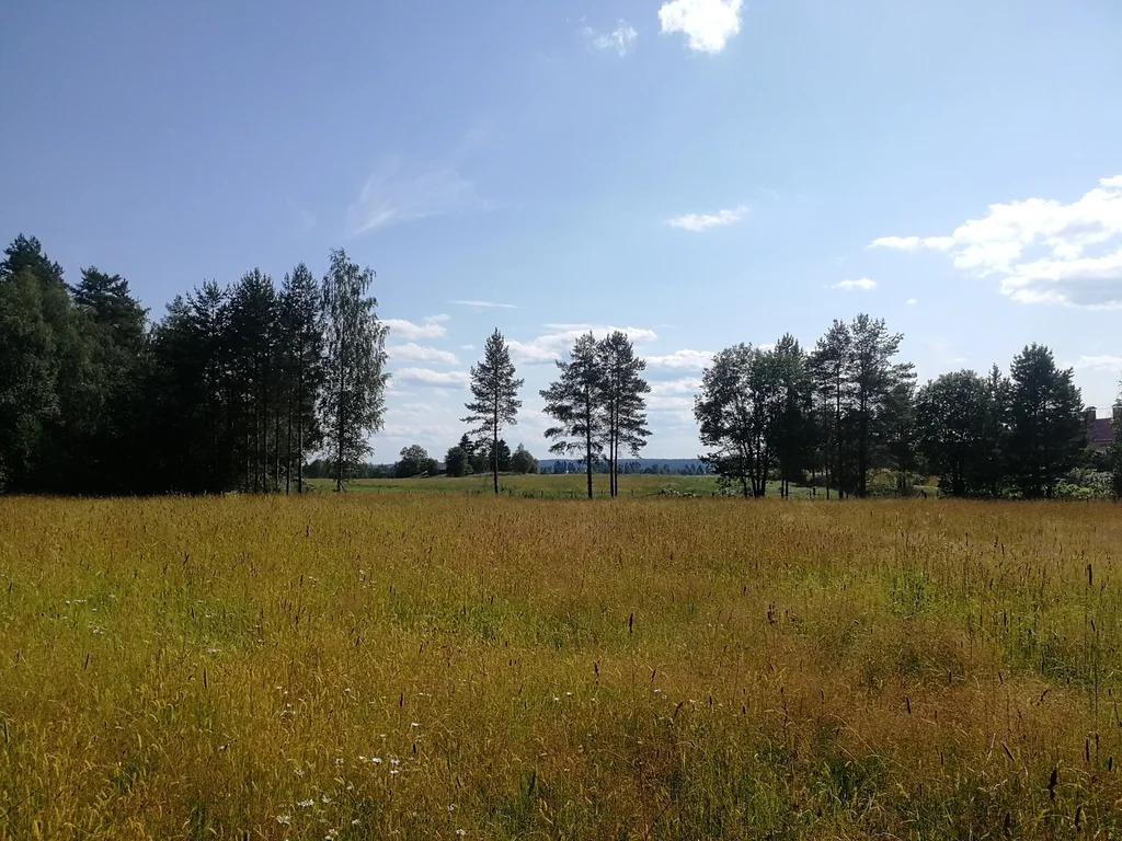 Продажа участка, Солнечное, Приозерский район - Фото 8