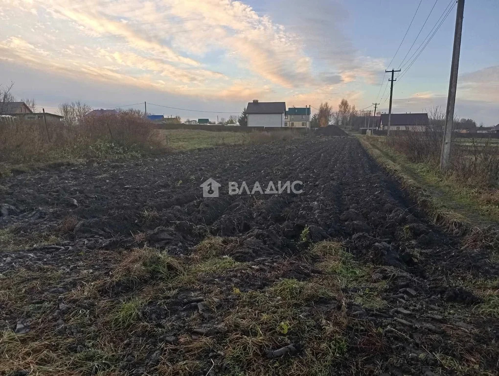 Суздальский район, село Павловское, Новая улица,  земля на продажу - Фото 0