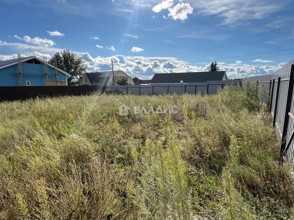 Богородский городской округ, деревня Шульгино, Центральная улица,  ... - Фото 2