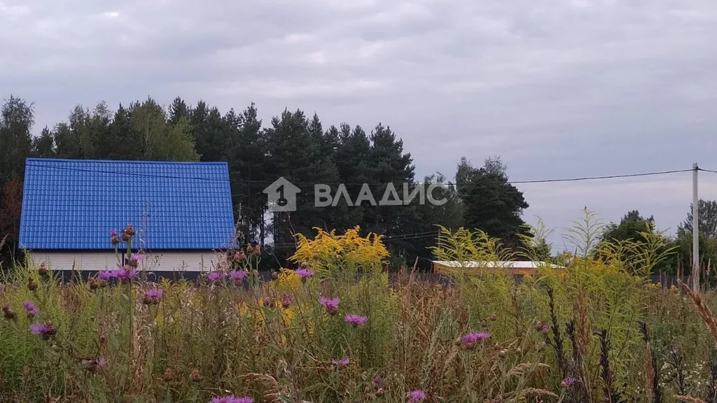 Земельный участок на продажу, Павлово-Посадский городской округ, . - Фото 1