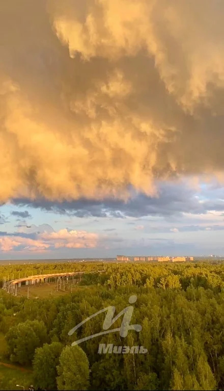 Продажа квартиры, Лобня, ул. Калинина - Фото 37