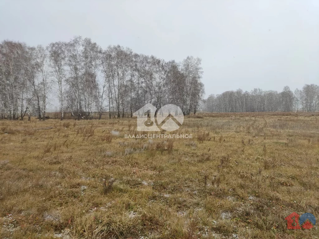 Ордынский район, село Вагайцево, улица Шукшина,  земля на продажу - Фото 6