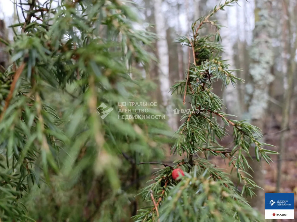 Продажа участка, Алеканово, Рязанский район - Фото 1