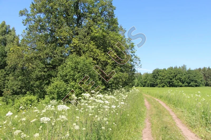 МО, Богородский г.о., с. Богослово, Земельный участок 7 га (ном. ... - Фото 13