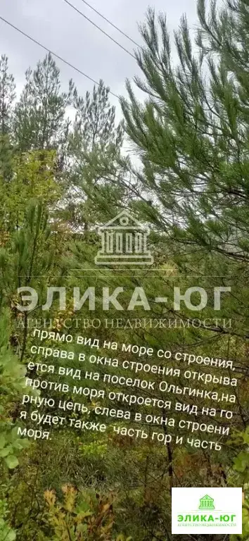 Продажа участка, Ольгинка, Туапсинский район, ул. Восточная - Фото 6