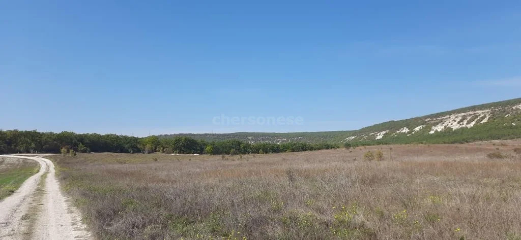 Продажа участка, Севастополь, территория КСП Память Ленина - Фото 5