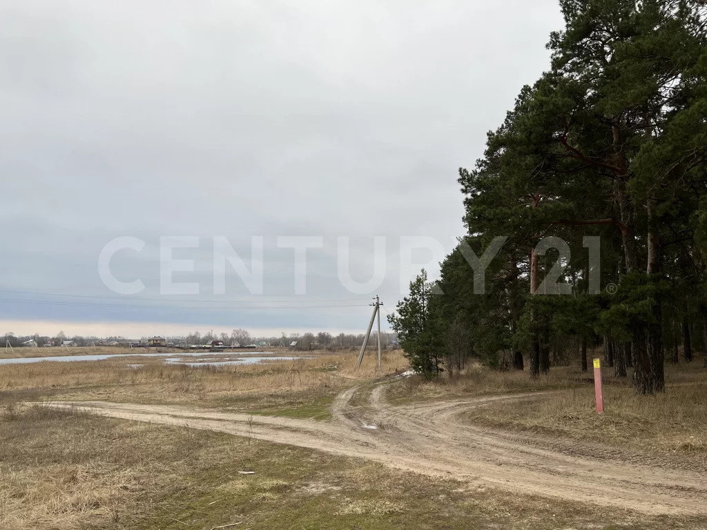 Продажа участка, Кореневщино, Добровский район, Набережная ул. - Фото 0