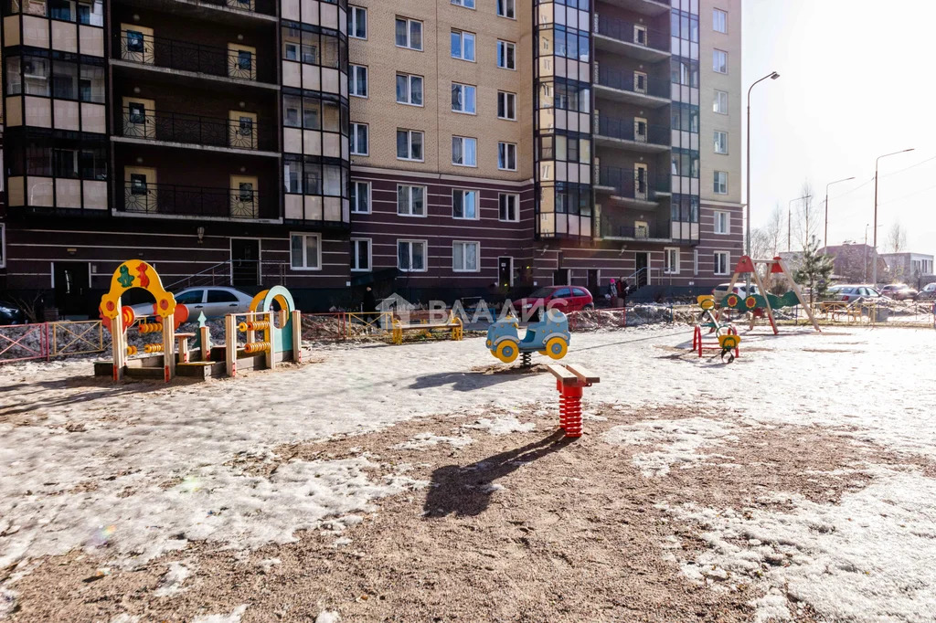 Всеволожский район, деревня Новое Девяткино, Арсенальная улица, д.2, ... - Фото 24