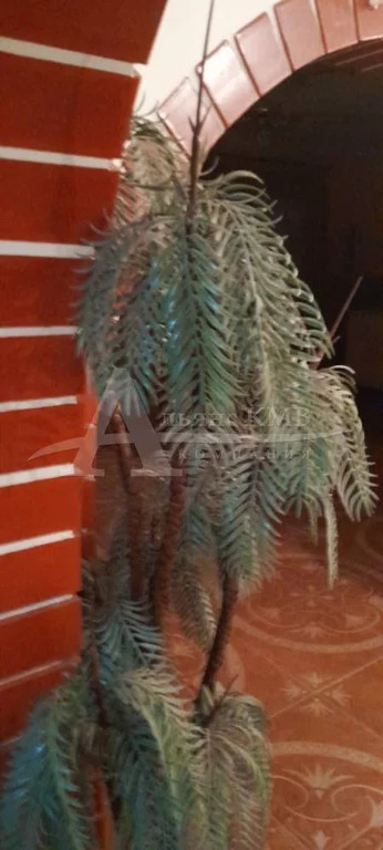 Продажа дома, Минеральные Воды, ул. Клары Цеткин - Фото 6