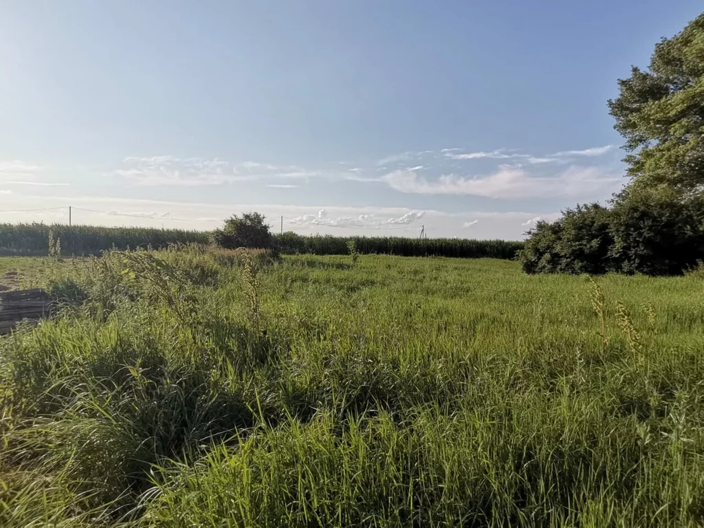 Продажа участка, Старонижестеблиевская, Красноармейский район, Ул. . - Фото 3