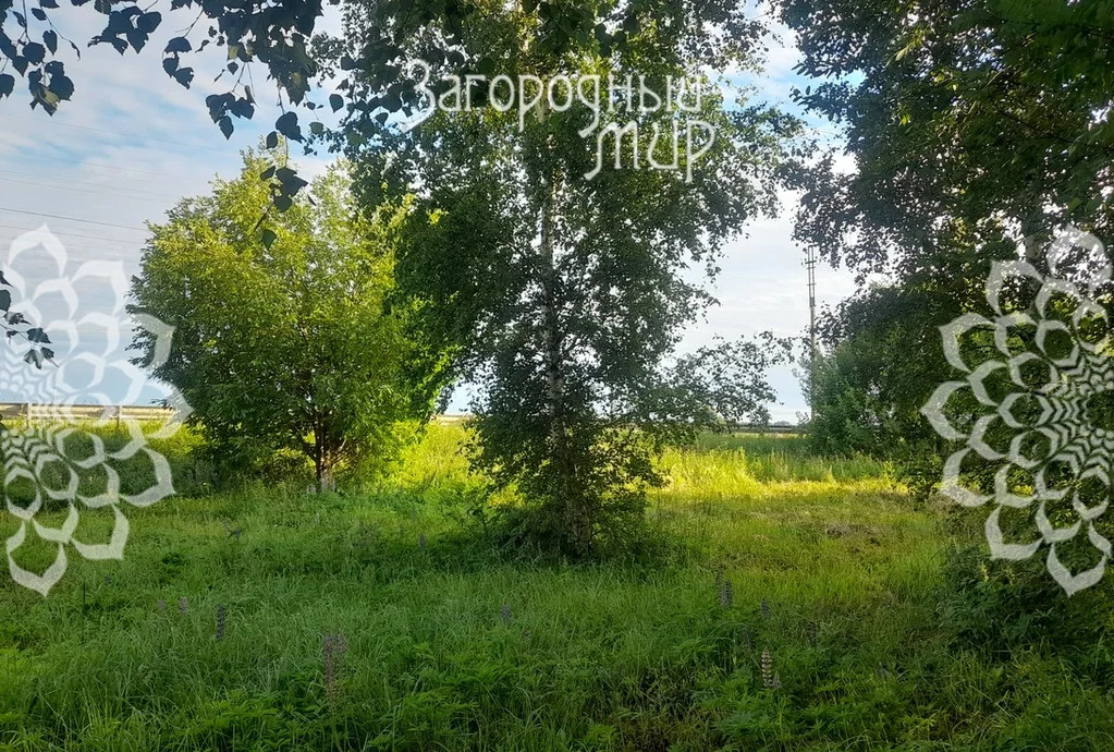 Продам участок, Дмитровское шоссе, 80 км от МКАД - Фото 5