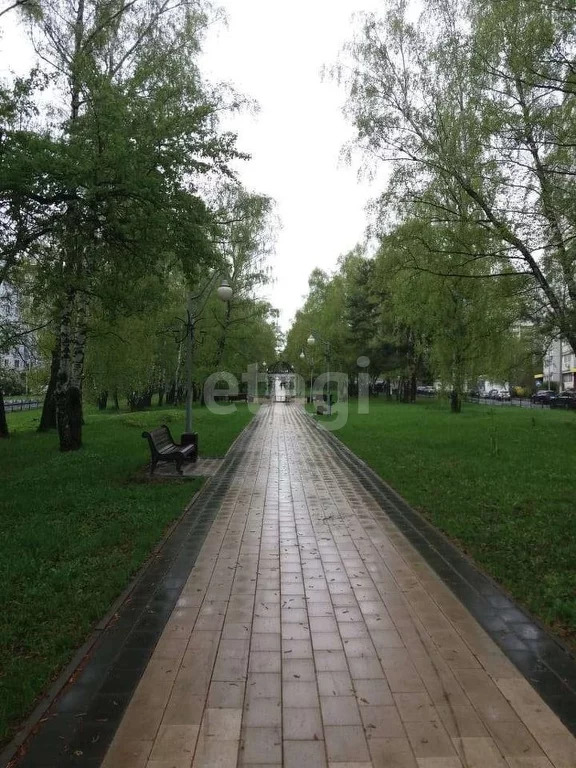 Продажа квартиры, м. Ясенево, Инессы Арманд, 8/17 - Фото 3