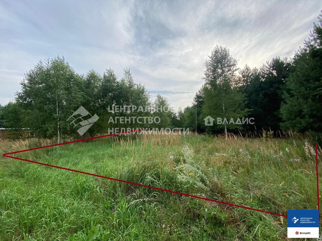 Продажа участка, Фролово, Клепиковский район - Фото 4