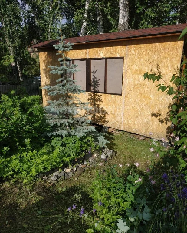Продажа дома, Новосибирск, снт Ивушка - Фото 4