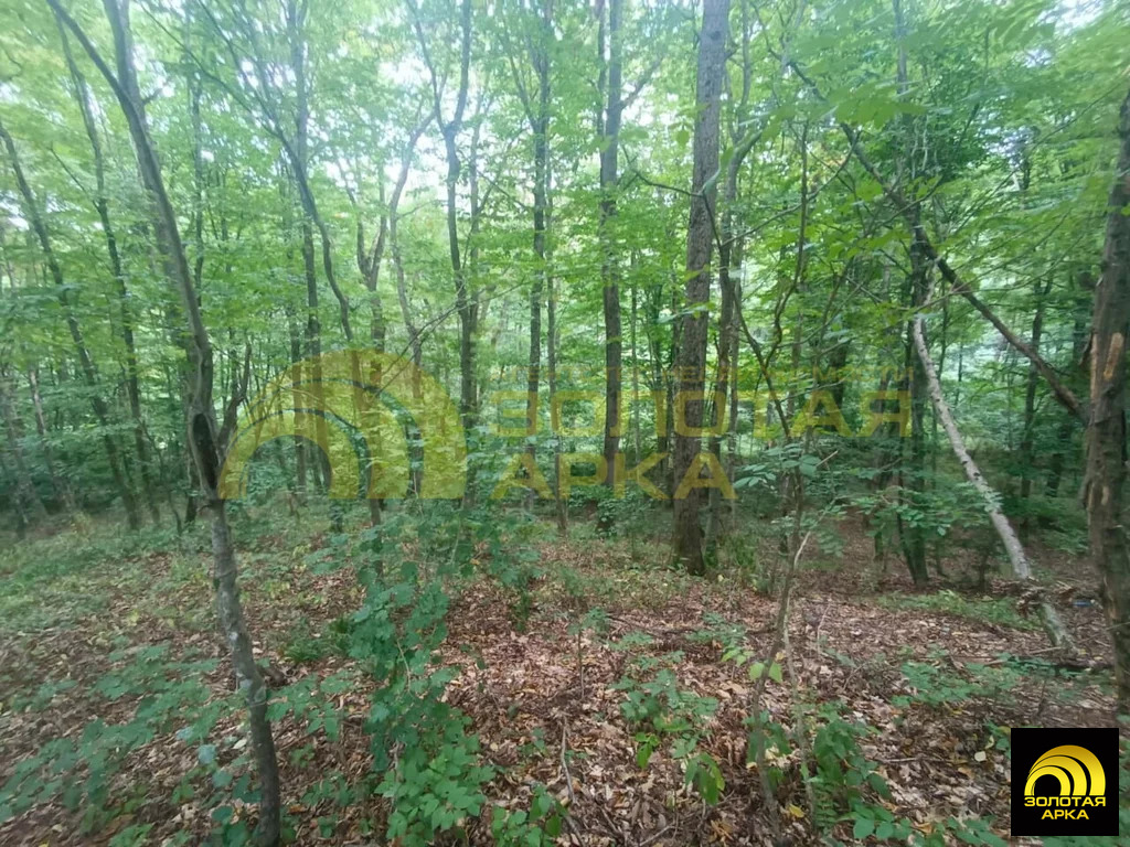 Продажа участка, Чибий, Северский район - Фото 13