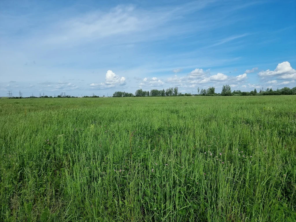 Продажа участка, Ям-Ижора, Тосненский район - Фото 13