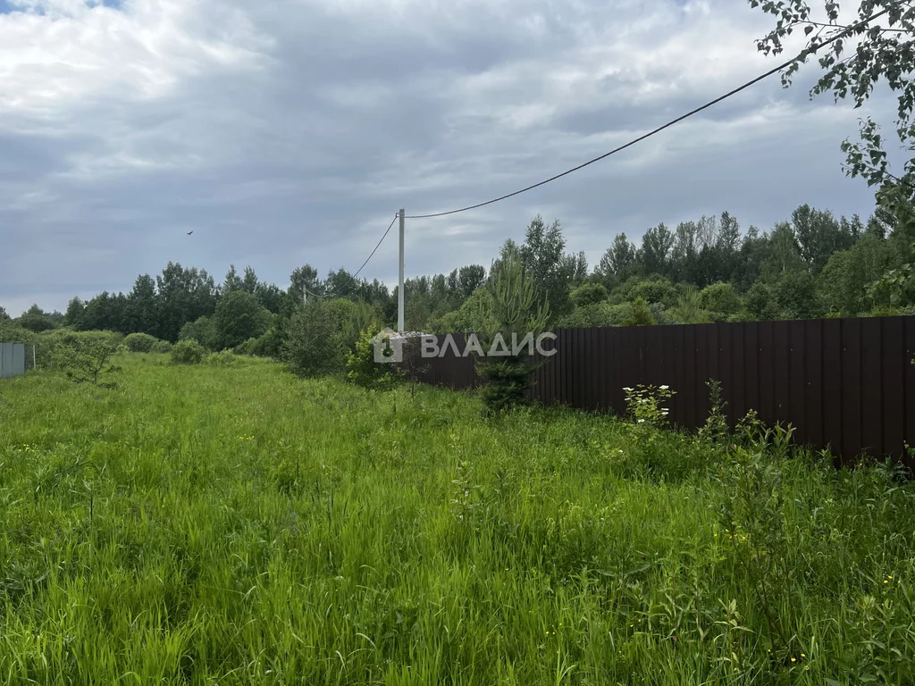 Некрасовский район, деревня Грешнево, Центральная улица, земля на . - Фото 4