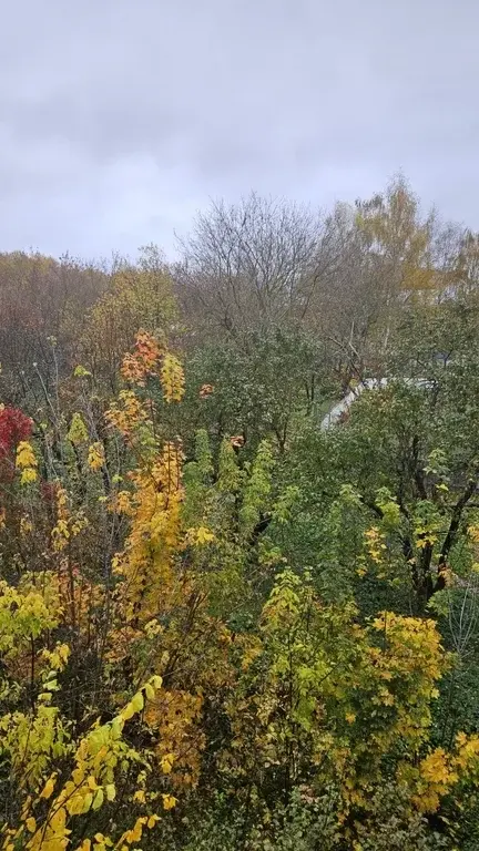 2-к.Мытищи,мкр Пироговский, ул.Советская, д.7 - Фото 16