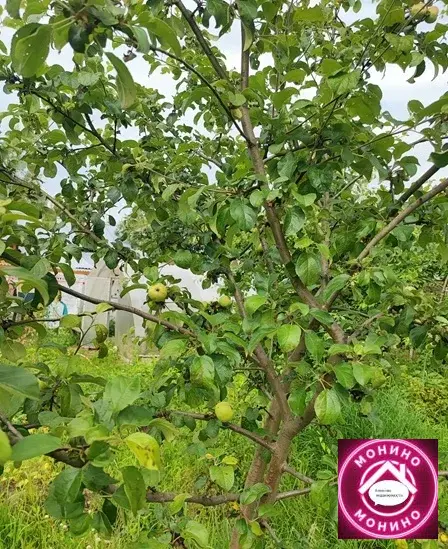 Продам дачу. - Фото 6