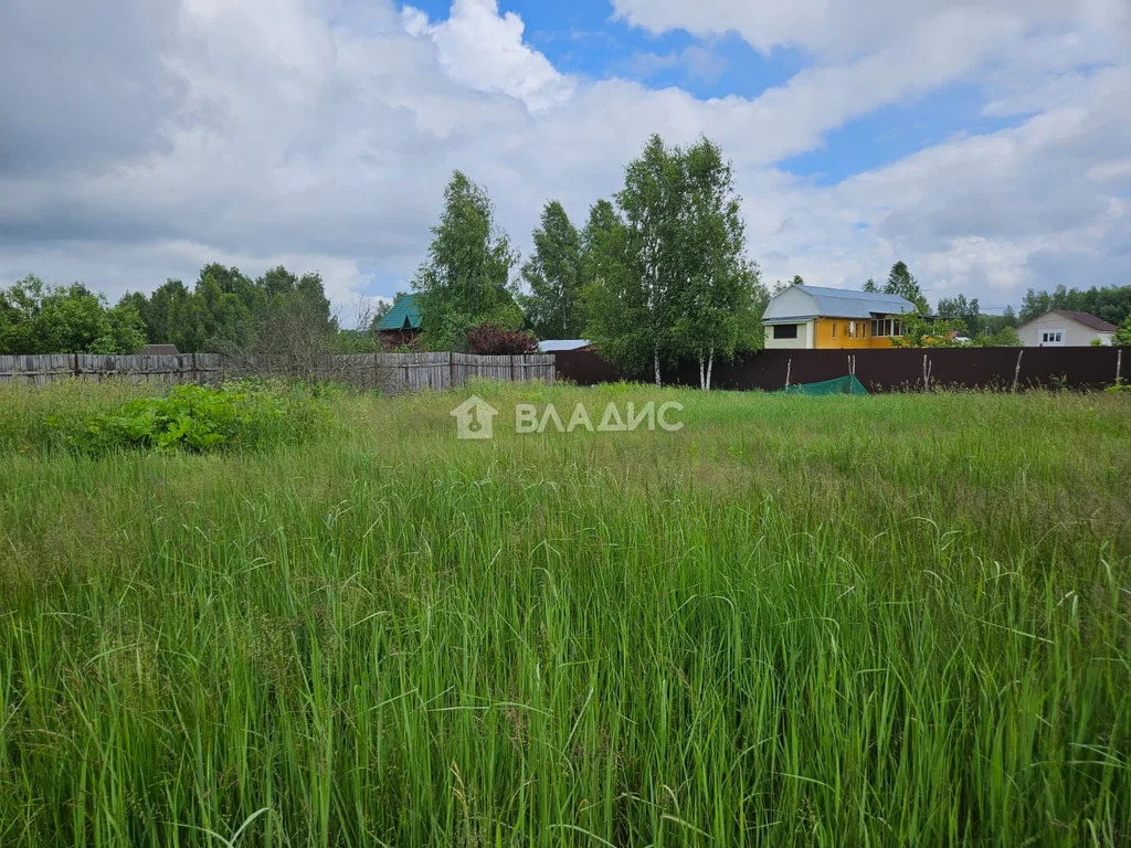 городской округ Клин, деревня Елино,  земля на продажу - Фото 4