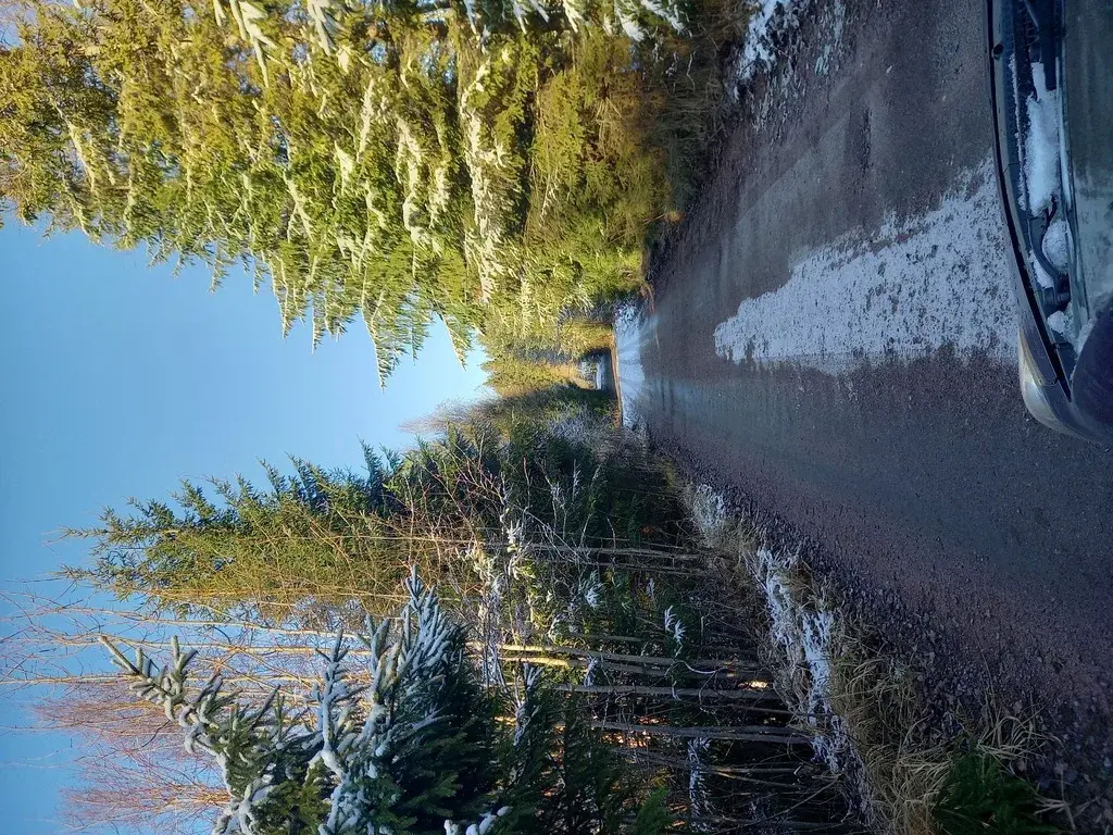 Продаю садовый участок в Шевелёво - Фото 16