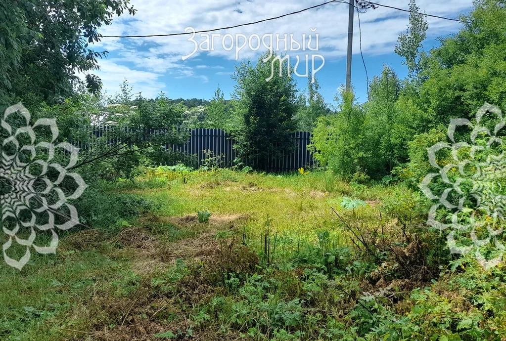 Продам участок, Дмитровское шоссе, 40 км от МКАД - Фото 4